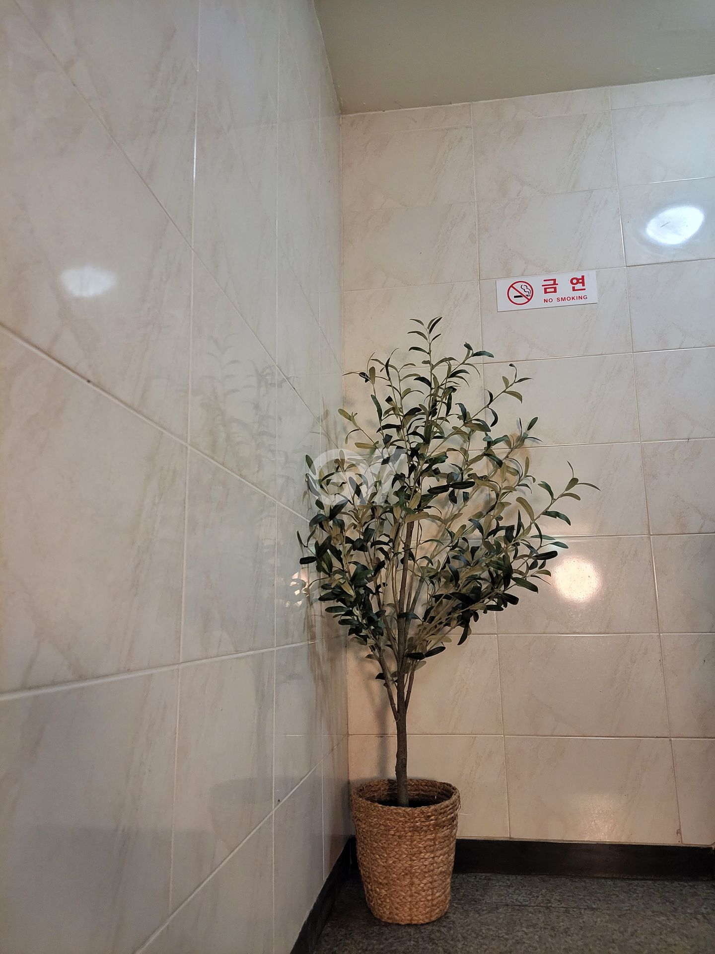 house_image_10