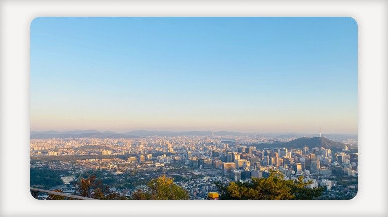 1인가구 지원+1인가구 혜택+청년도시락+1인가구 간병비+여성 1인가구 안심장비+자취 꿀팁+청년 1인가구+즉석밥 용기 종량제봉투+음식물쓰레기 종량기+혼자 사는 청년