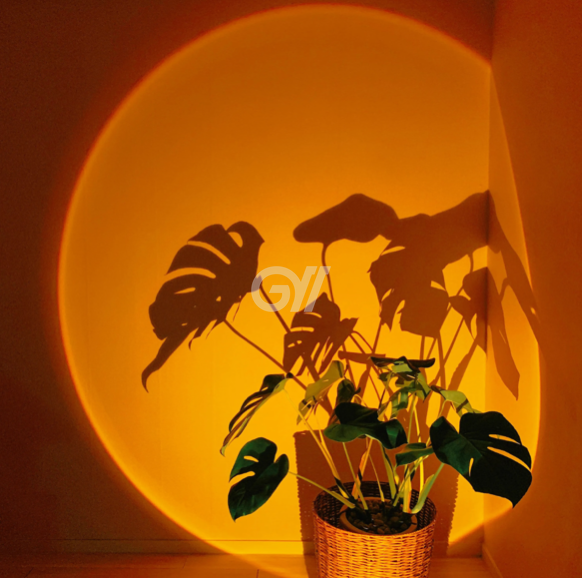 house_image_16