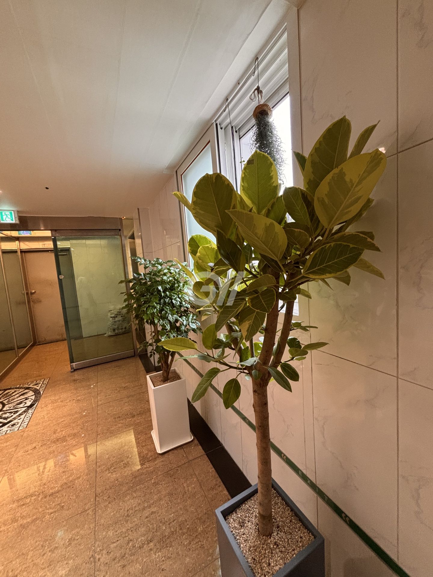 house_image_24