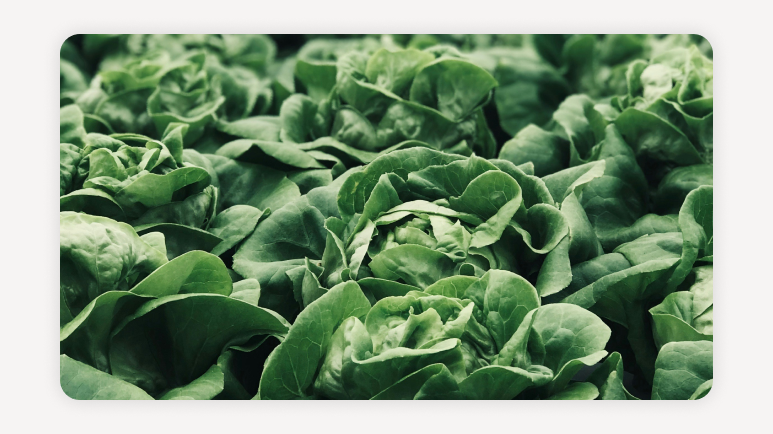 농축산물 환급 이벤트+전통시장 온누리상품권 환급+국산 농축산물 할인+마트 농축산물 할인+온누리상품권 환급+여름 농축산물 할인행사+농식품부 할인 지원+전통시장 환급 행사+마트 할인 쿠폰 농축산물+농축산물 40% 할인 (6)