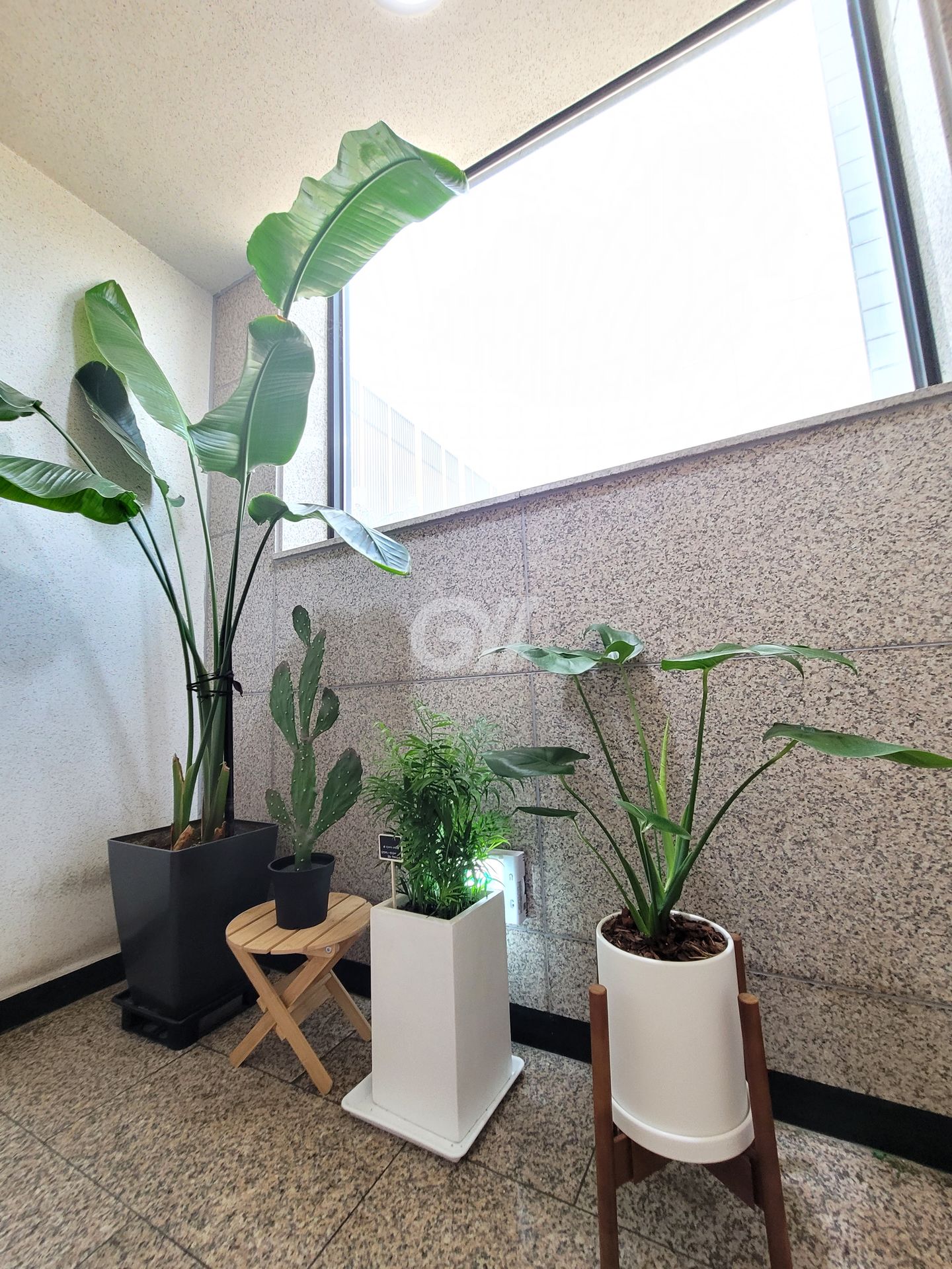 house_image_11