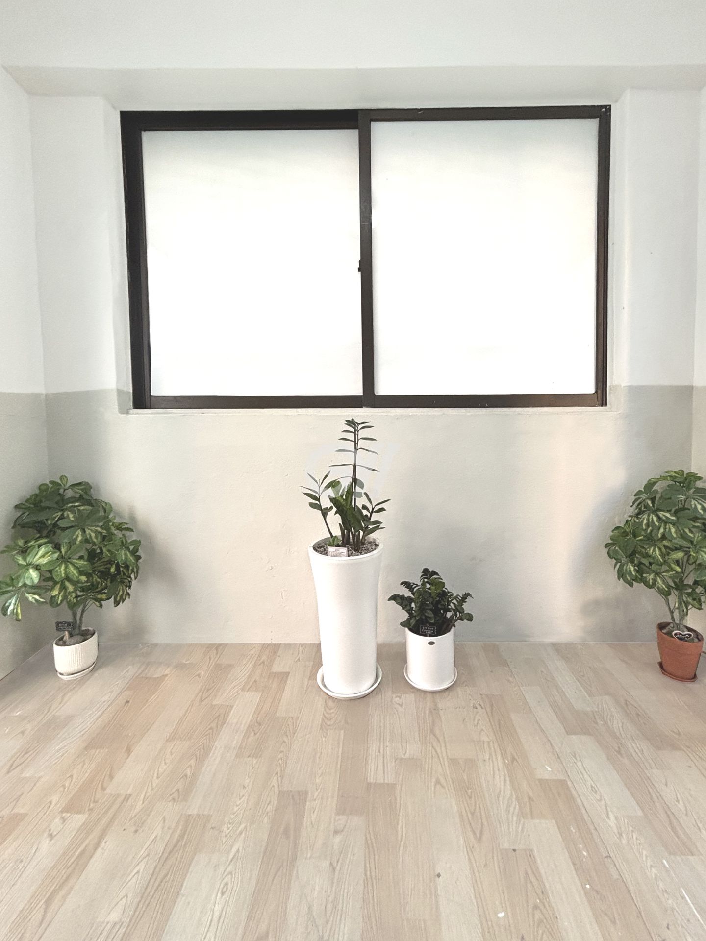 house_image_26