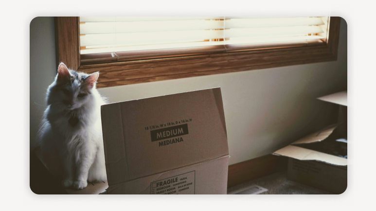 청년지원+이사비지원+전입지원금+청년1인가구지원+중개수수료지원+서울청년정책+생필품지원금+기초생활수급자이사비+전월세지원+청년주거지원