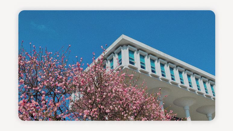 서울대학가월세+서울원룸월세+대학가원룸시세+서울자취비용+대학생월세평균+서울원룸관리비+대학가월세비교+성균관대원룸월세+연세대원룸시세+서울월세상승