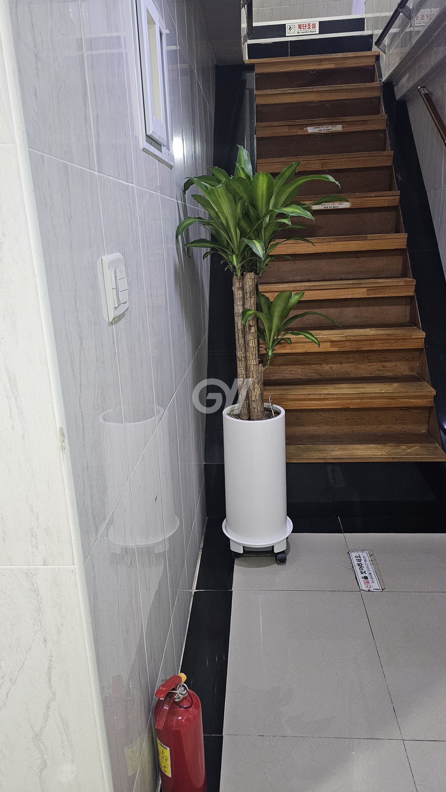 house_image_11