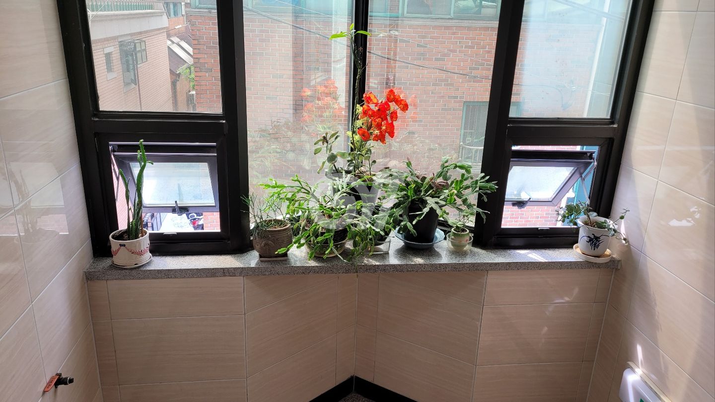house_image_6