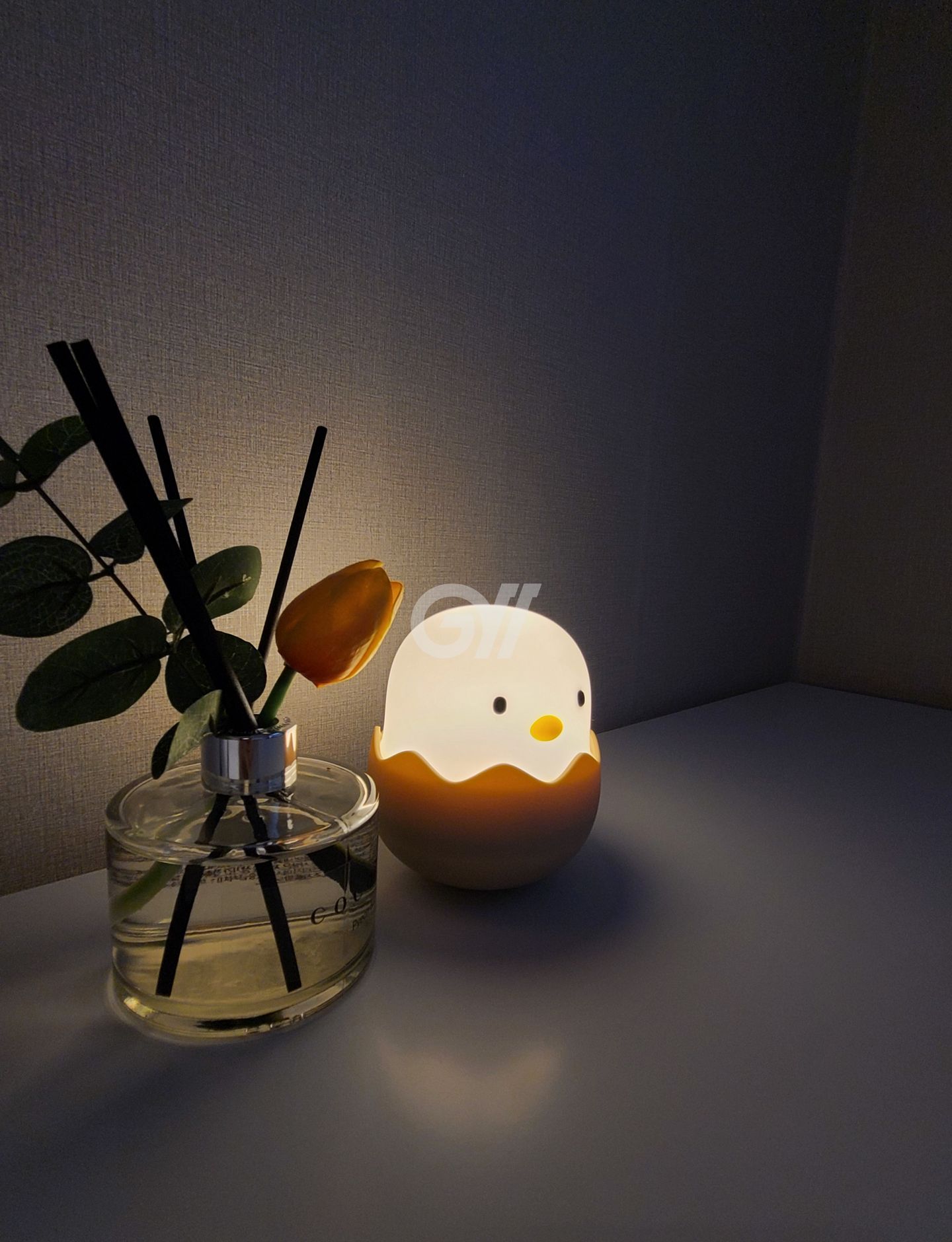 house_image_4