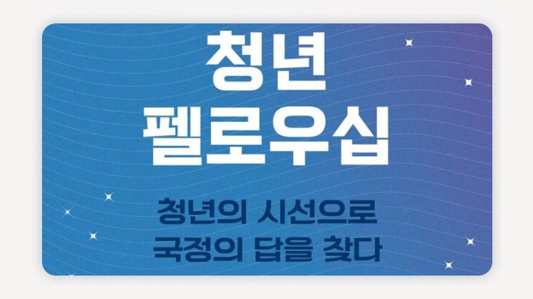 청년펠로우십+청와대청년인턴+청년인재DB+행정인턴채용+청년정책인턴+정부인턴십+청년일자리+2030db+청년경력쌓기+청년국정참여