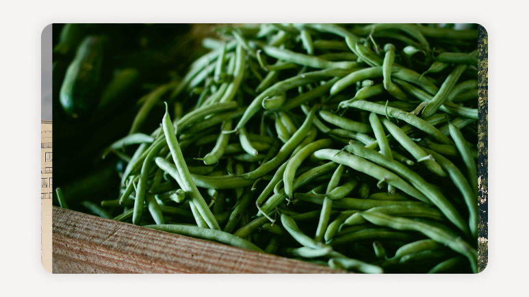 농축산물 환급 이벤트+전통시장 온누리상품권 환급+국산 농축산물 할인+마트 농축산물 할인+온누리상품권 환급+여름 농축산물 할인행사+농식품부 할인 지원+전통시장 환급 행사+마트 할인 쿠폰 농축산물+농축산물 40% 할인