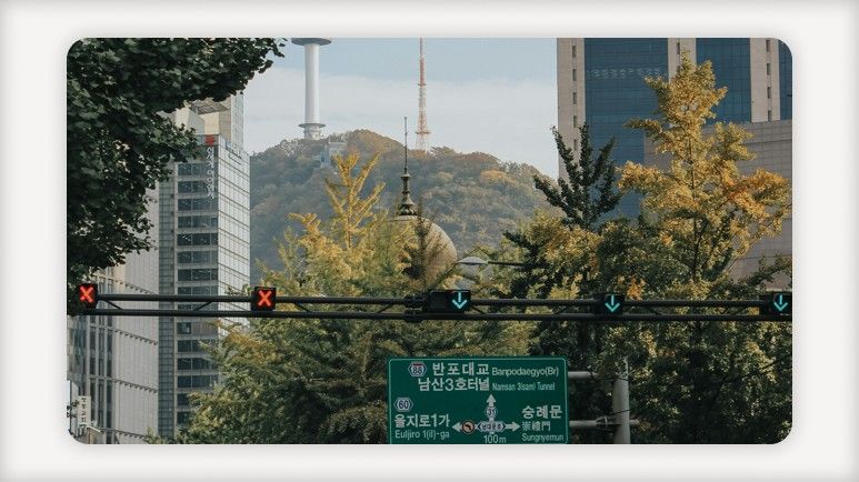 1인가구 지원+1인가구 혜택+청년도시락+1인가구 간병비+여성 1인가구 안심장비+자취 꿀팁+청년 1인가구+즉석밥 용기 종량제봉투+음식물쓰레기 종량기+혼자 사는 청년
