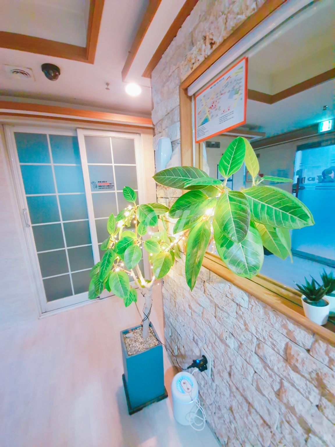 house_image_12