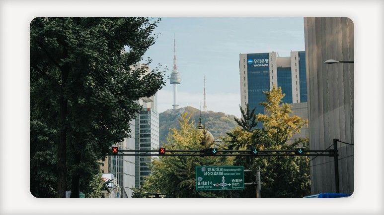 1인가구 지원+1인가구 혜택+청년도시락+1인가구 간병비+여성 1인가구 안심장비+자취 꿀팁+청년 1인가구+즉석밥 용기 종량제봉투+음식물쓰레기 종량기+혼자 사는 청년