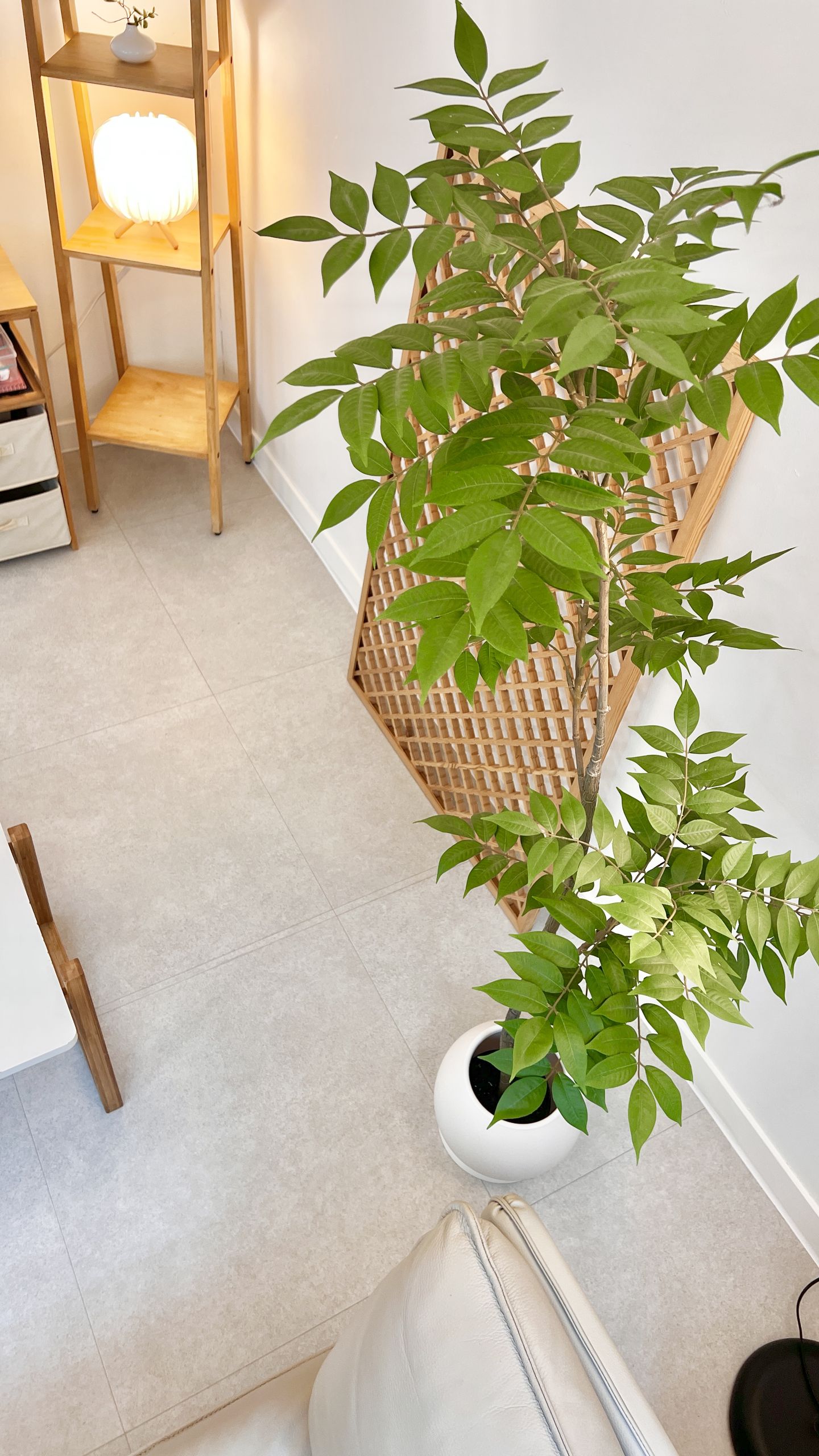 house_image_5