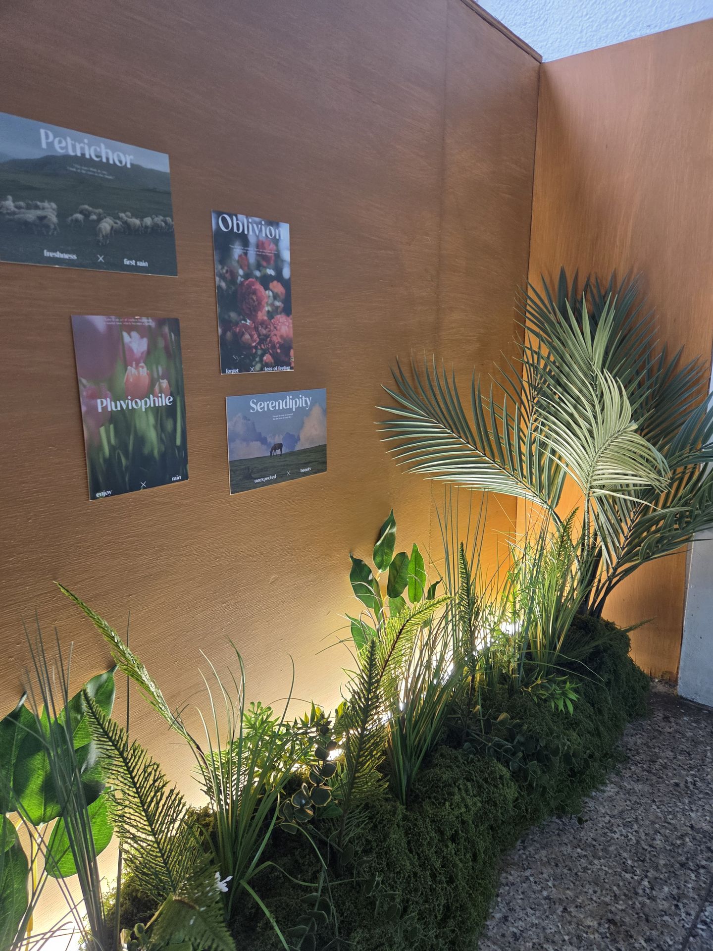 house_image_2