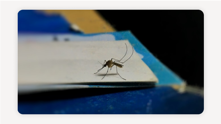 고시원벌레+바퀴벌레+날벌레+고시원위생+고시원청소+고시원입주+벌레많은고시원+고시원방충망+고시원후기+고시원피해야할곳