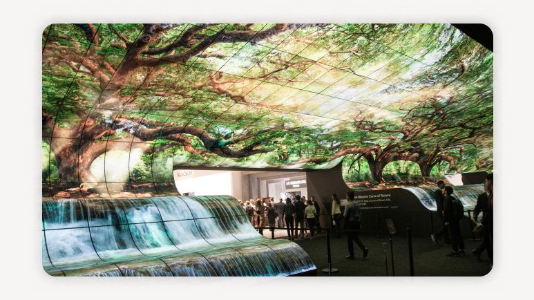 문화가 있는 날 확대+문화가 있는 날 매주 수요일+문화가 있는 날 혜택+문화가 있는 날 영화 할인+문화가 있는 날 무료+문화가 있는 날 시행령 개정+문화체육관광부 문화가 있는 날+문화가 있는 날 박물관+문화가 있는 날 미술관+문화가 있는 날 참여율