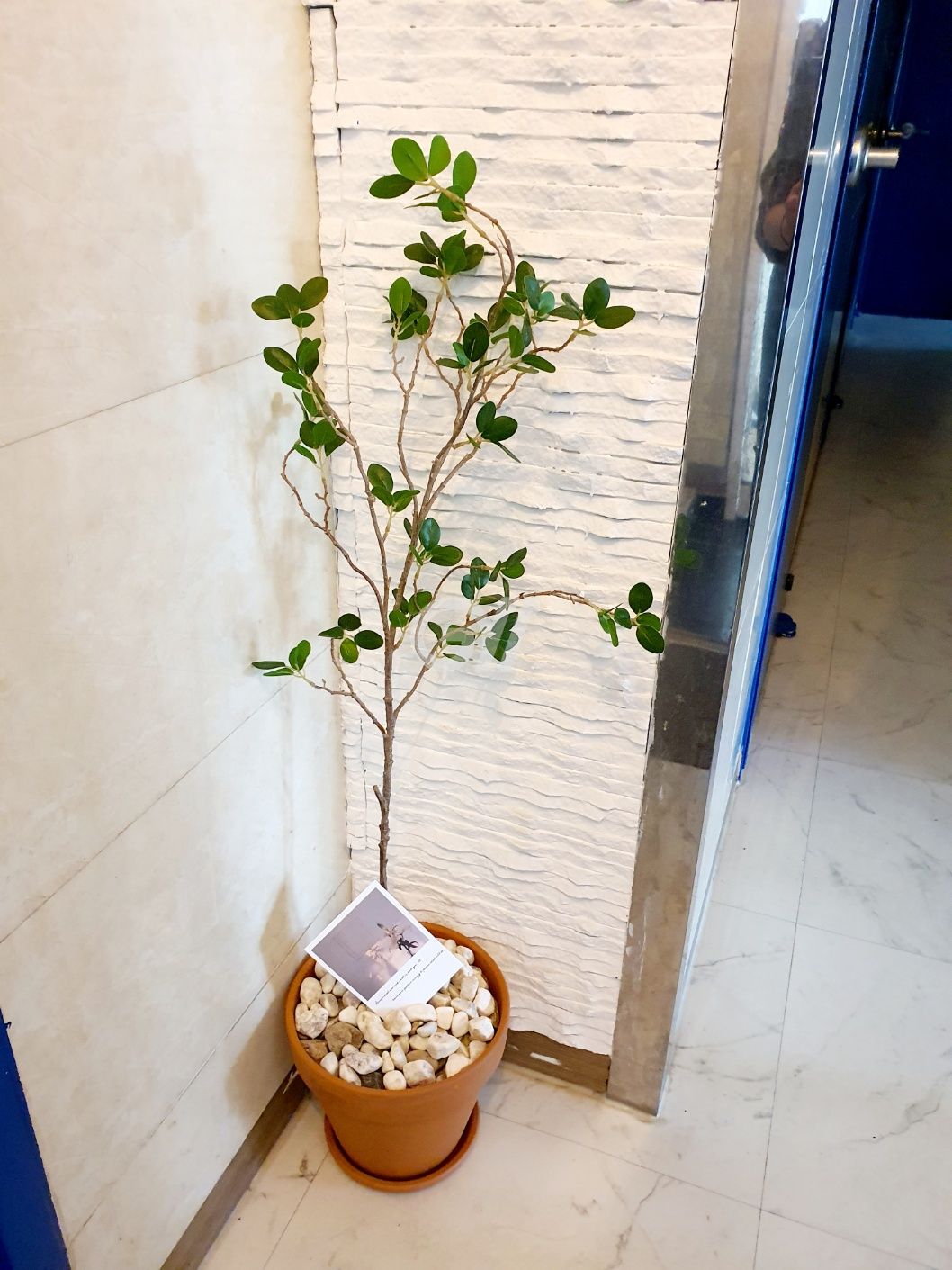 house_image_14