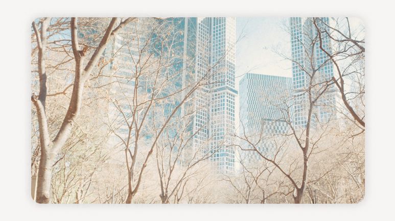 서울윈터페스타+서울겨울축제+서울빛초롱축제+서울연말축제+광화문겨울축제+DDP서울라이트+서울광장스케이트장+보신각타종행사+서울12월가볼만한곳+서울무료축제