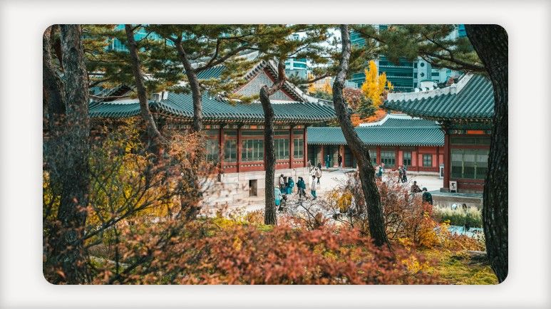 온누리상품권+디지털온누리상품권+고속도로통행료면제+추석연휴고속도로무료+KTX운임인하+지역사랑상품권+숙박할인쿠폰+농어촌여행환급+추석민생대책+성수품공급