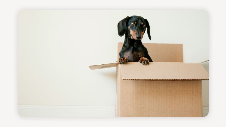 이사비지원+주거취약계층이사비+경기도이사비지원+주거상향이주지원+반지하이사지원+고시원이사지원+쪽방촌이사지원+공공임대이주지원+주거취약계층지원정책+이주지원금