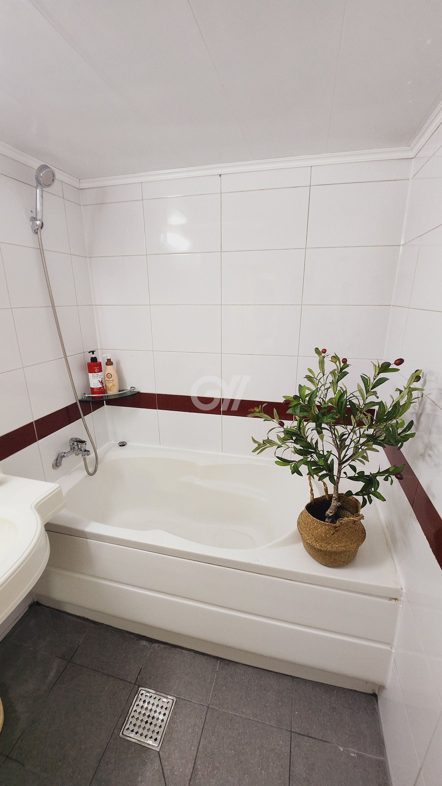 house_image_10