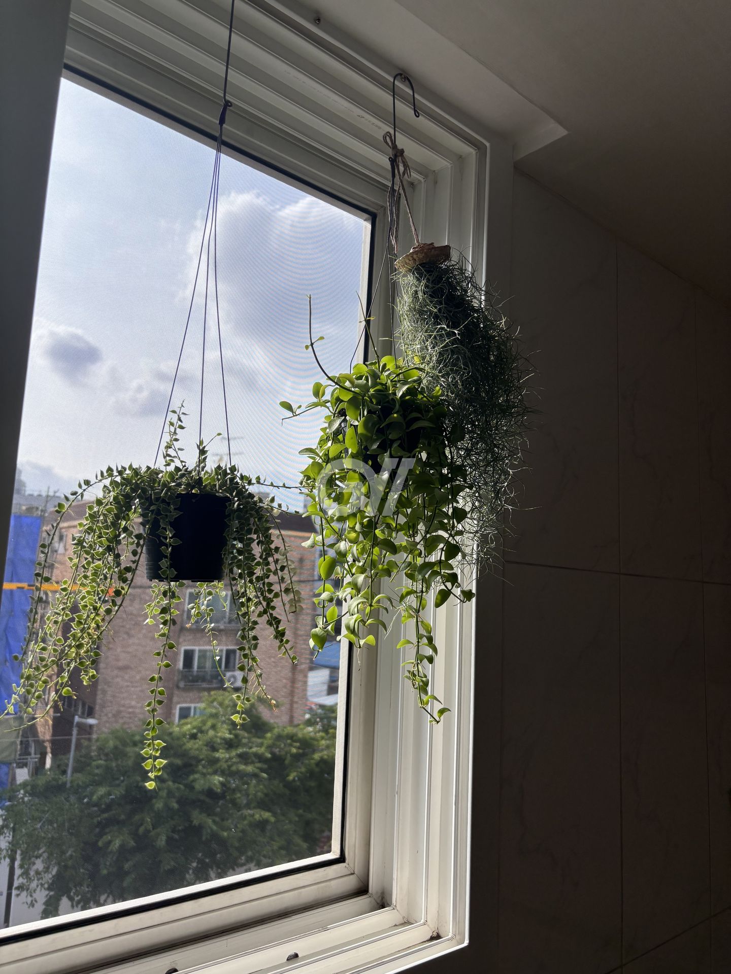 house_image_22