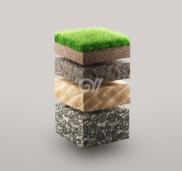 house_image_1