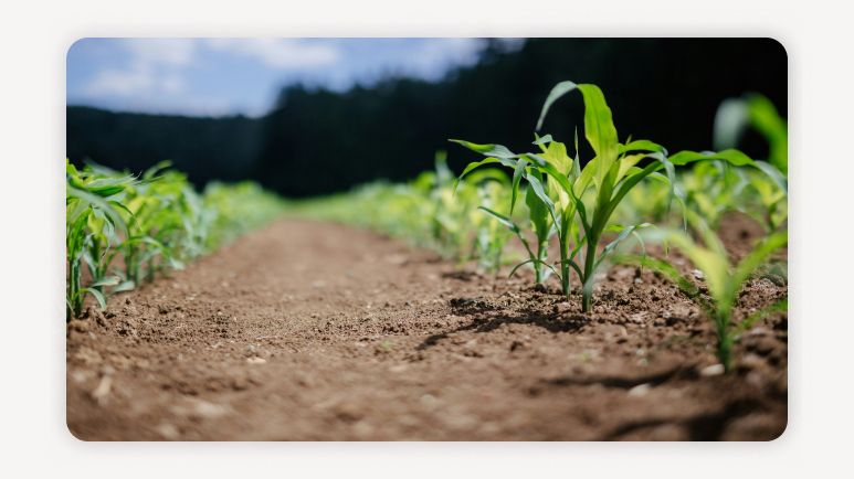 농식품바우처+농식품바우처신청+농식품바우처대상+청년농식품바우처+2026농식품바우처+저소득층식품지원+식품바우처카드+농식품바우처기간+서초구농식품바우처+식생활지원정책