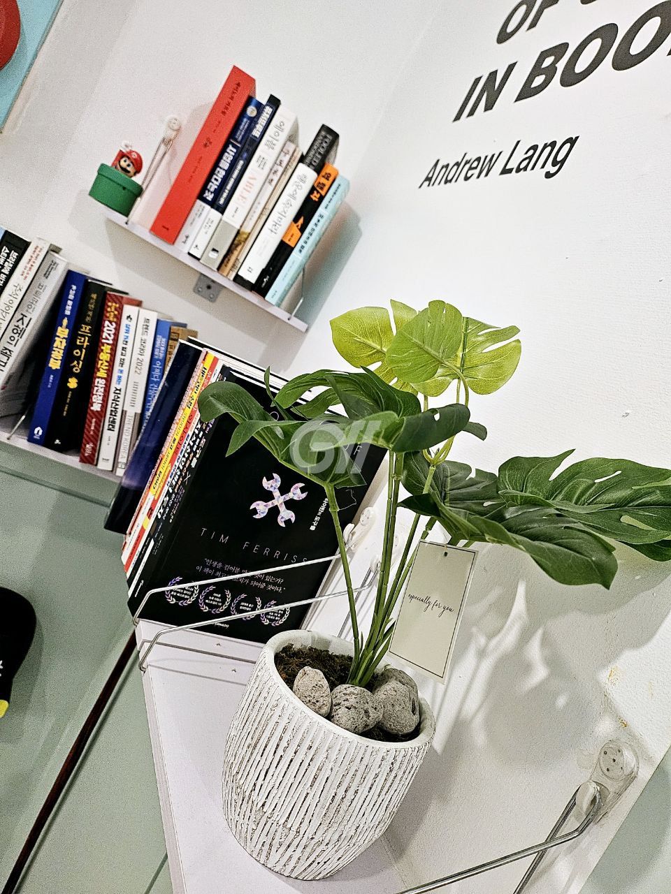 house_image_10
