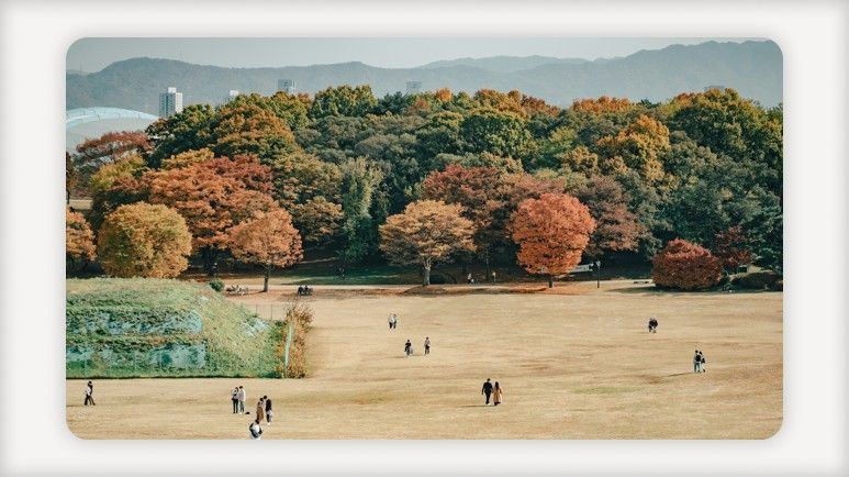 온누리상품권+디지털온누리상품권+고속도로통행료면제+추석연휴고속도로무료+KTX운임인하+지역사랑상품권+숙박할인쿠폰+농어촌여행환급+추석민생대책+성수품공급