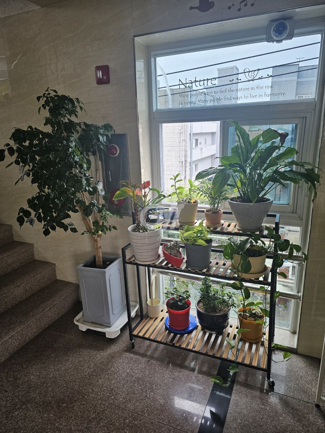 house_image_30