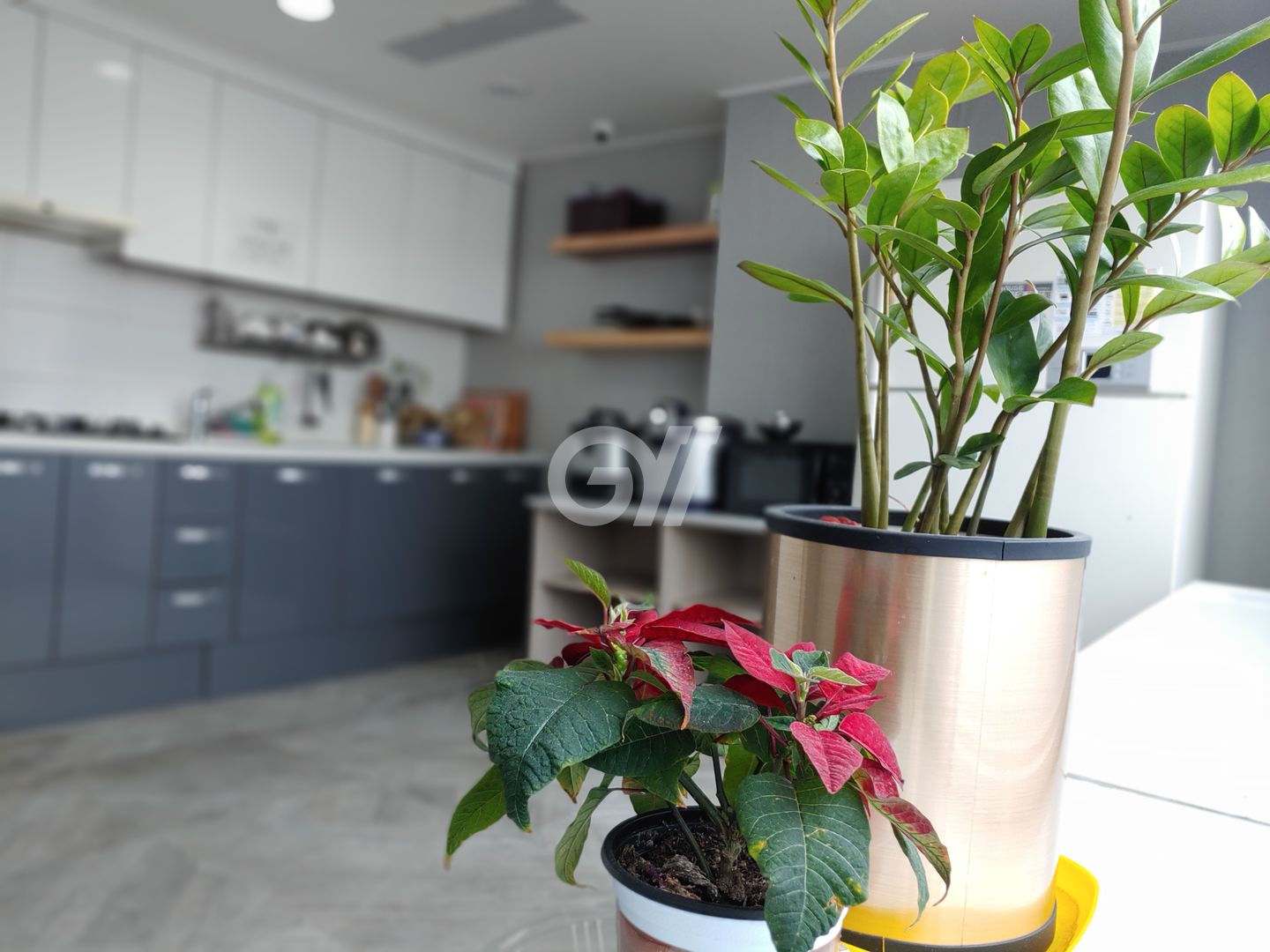 house_image_6