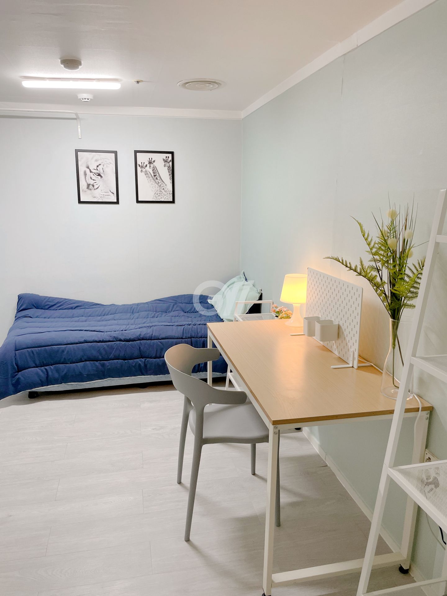 house_image_1