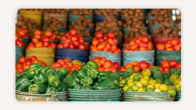 농식품바우처+농식품바우처신청+농식품바우처대상+청년농식품바우처+2026농식품바우처+저소득층식품지원+식품바우처카드+농식품바우처기간+서초구농식품바우처+식생활지원정책